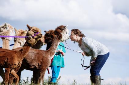Senwick Alpaca Trekking