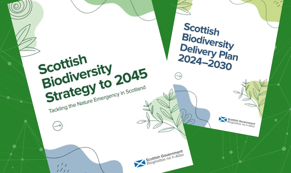 updated Biodiversity Strategy and a new Biodiversity Delivery Plan for 2024-2030