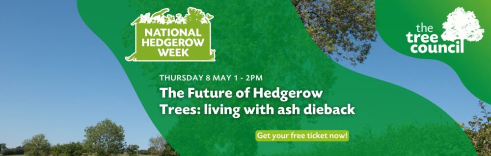 Tree Council Webinar poster
