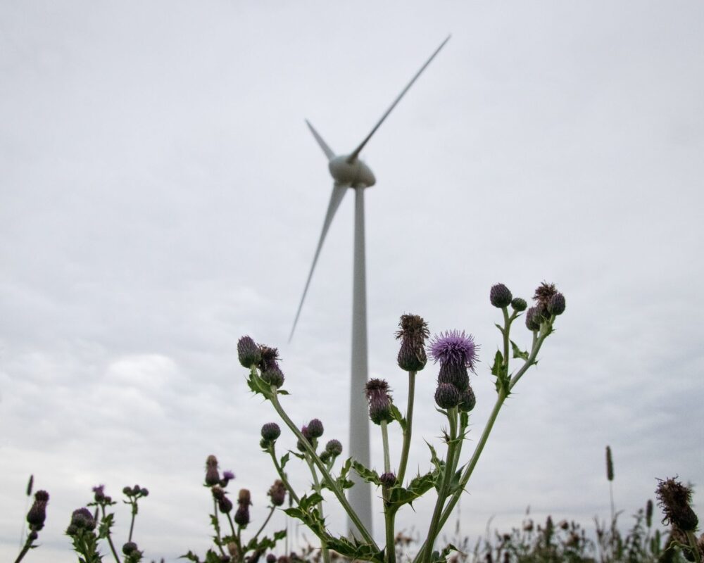 Udny Community Wind Turbine. 
