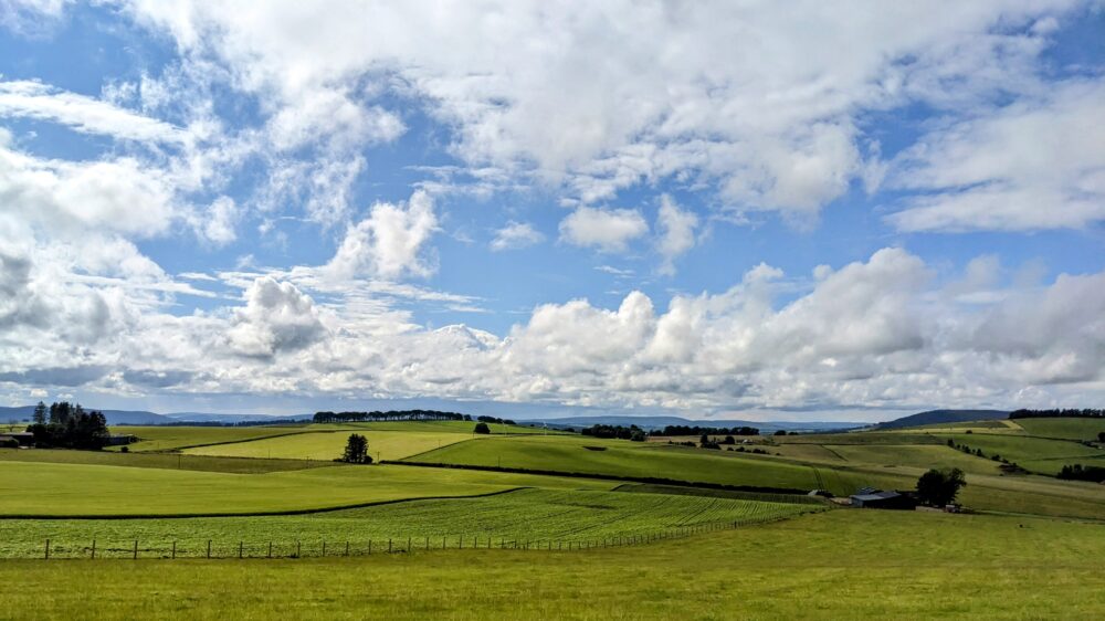 Fields around Huntly 