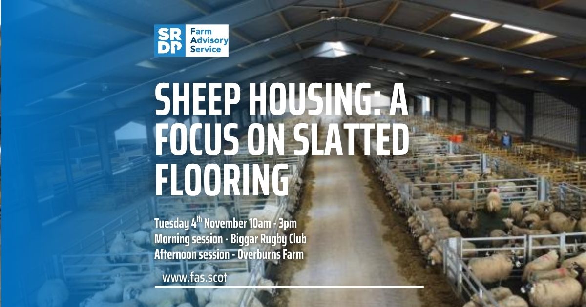 Slatted Unit Sheep Housing: A Focus on Slatted Flooring - Scottish Rural Network