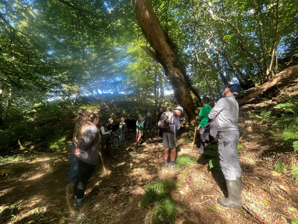 Group of hikers standing in a sunlit forest clearing surrounded by tall trees and dense foliage.