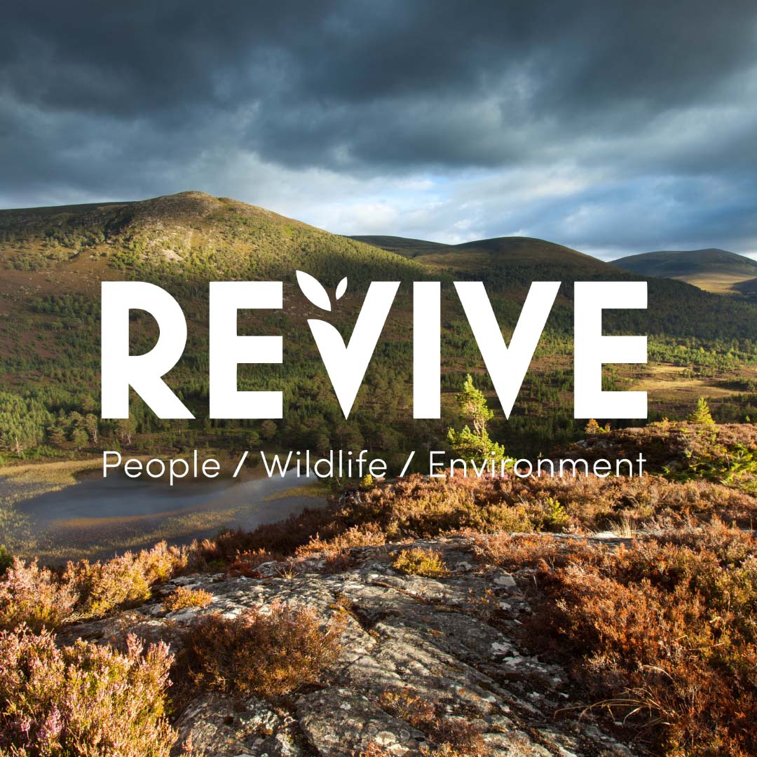 Revive Example REVIVE: What Scotland Wants - Real Land Reform - Scottish Rural Network