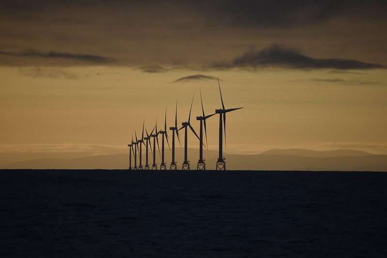 A row of offshore wind turbines silhouetted against a golden sunset over calm sea waters.