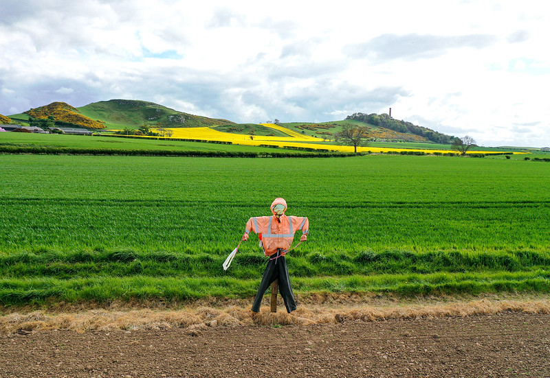 Scarecrow wearing an orange jacket and hat stands in front of lush green fields with rolling hills in the background under a cloudy sky.