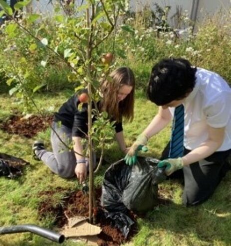 High school pupils in school uniform planting an apple tree