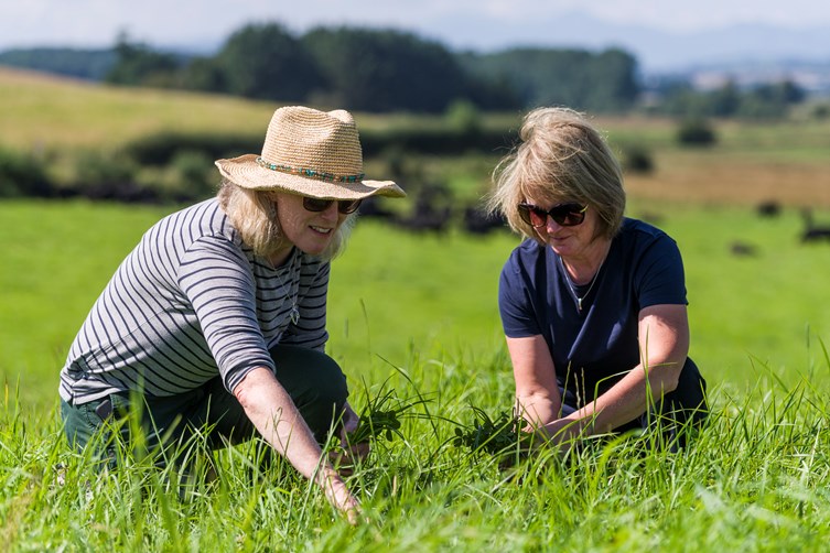 Two women kneeling in a green field, examining plants on a sunny day with rolling hills in the background.