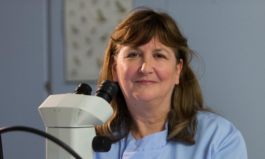 Female scientist focused on microscope analysis, seated in a clinical lab environment.
