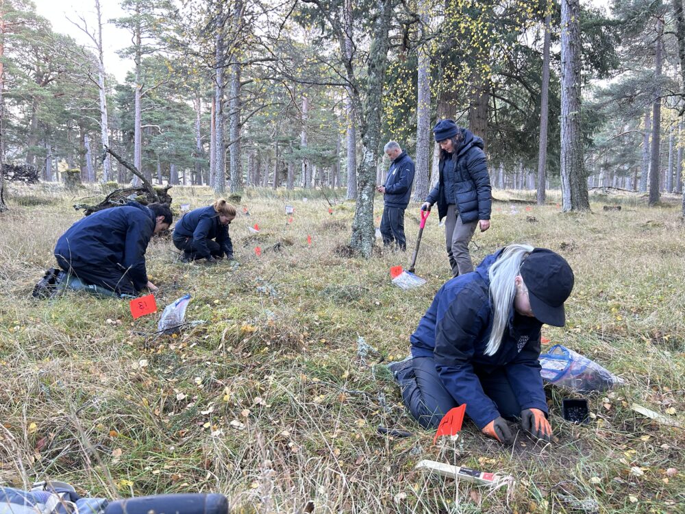 Group of people kneeling on grass in a wooded area with hand tools around them