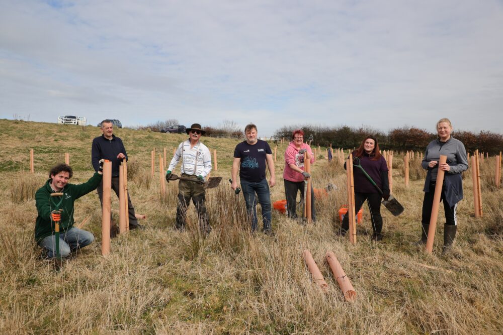 Group of seven people planting tree saplings in a grassy field under a cloudy sky.