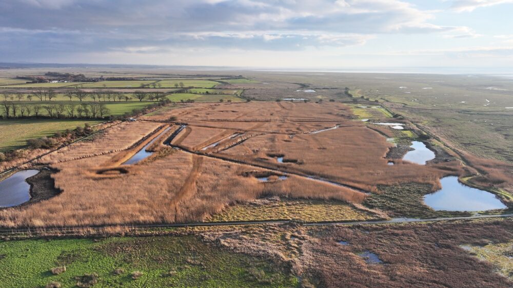 Aerial view of a vast wetland area with winding water channels and patches of dry grass under a cloudy sky.