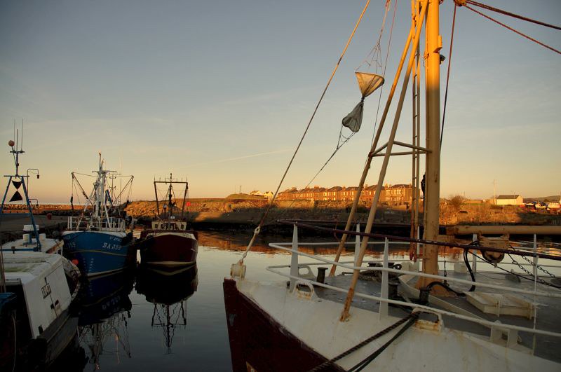 Fishing boats docked in a calm harbour at sunset with a rocky coastline in the background.