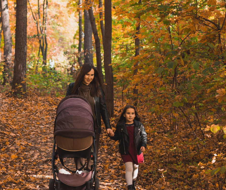 Woman pushing a pram and holding hands with her young girl while walking through a forest covered in autumn leaves.
