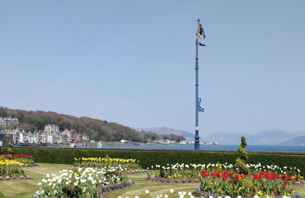 Colourful flower beds with white, yellow, and red blooms in a seaside park overlooking a calm bay and distant hills under a clear blue sky.