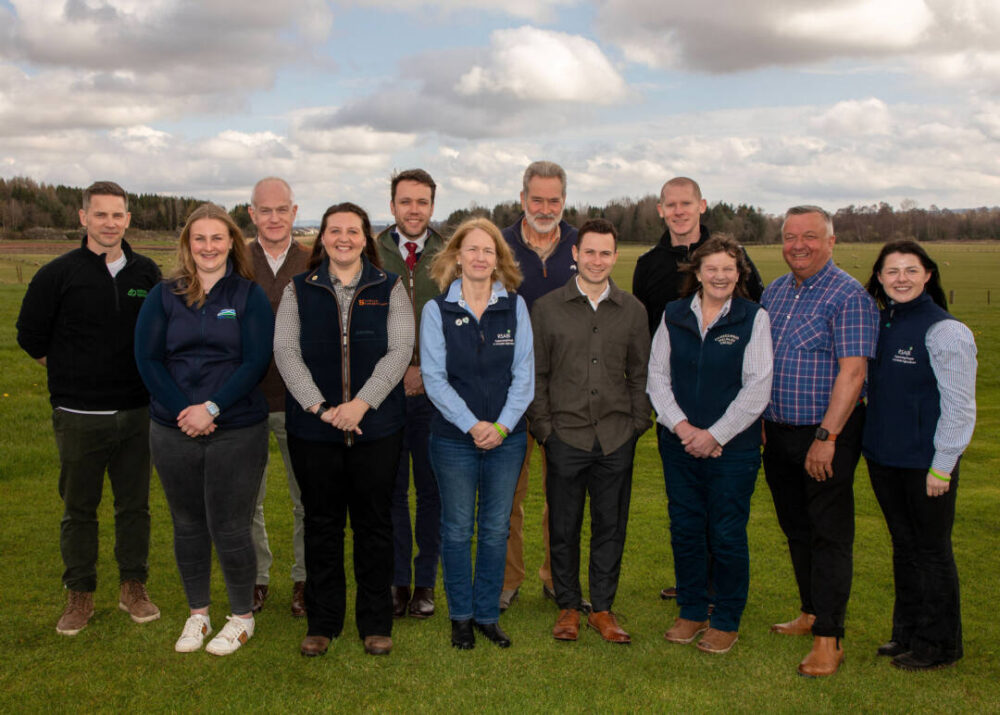 Group of twelve people standing in a grassy field under a cloudy sky, dressed in casual and business casual attire.