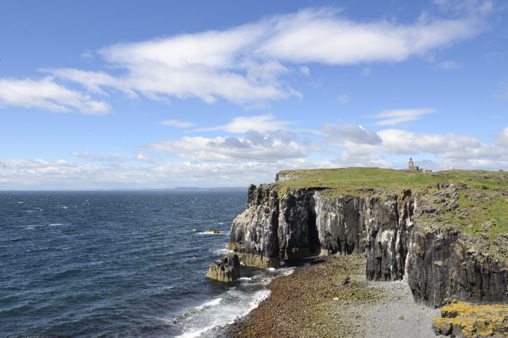 Sea cliffs on the Isle of May on a sunny day.