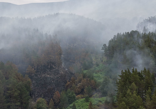 Dense forested hills partially obscured by thick smoke created by wildfire.