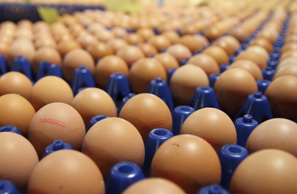 Rows of brown eggs neatly arranged in blue plastic trays, filling the frame with a sense of abundance and uniformity.