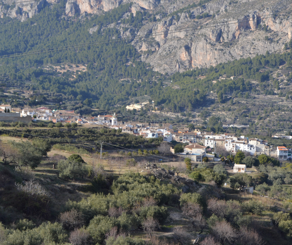 Rural settlement nestled at the base of rocky mountains surrounded by dense green forest and scattered farmland.