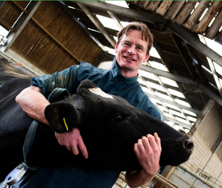 Vet wearing green scrubs with black cow in a agricultural shed