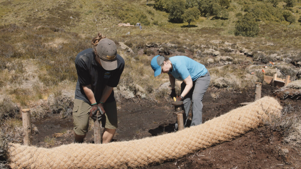 Two individuals engaged in manual labor, preparing earth in a countryside environment.