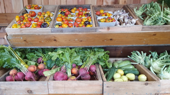 Wooden crates filled with colourful heirloom tomatoes, garlic bulbs, and fresh kohlrabi on a rustic market shelf.