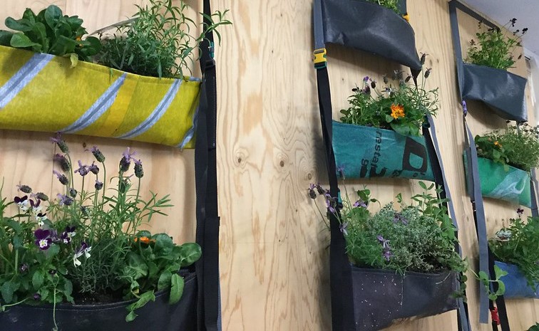 Vertical garden with various herbs and flowers planted in colourful fabric pockets mounted on a wooden wall.