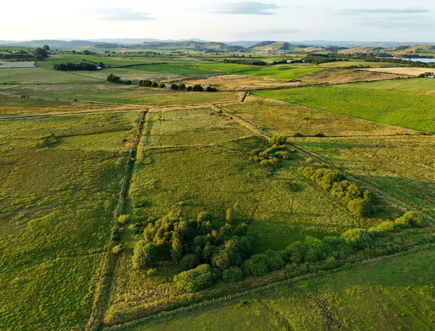 Aerial view of expansive green farmland divided by hedgerows and dotted with small clusters of trees under a partly cloudy sky.