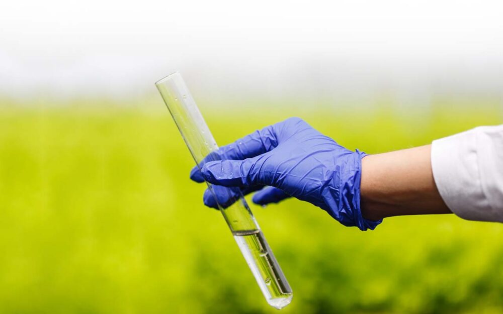 Hand wearing a blue glove holding a test tube with clear liquid against a blurred green background.