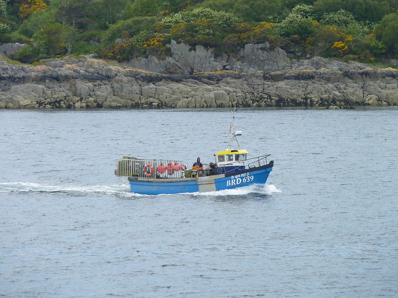 Small blue fishing boat BRD 639 cruising near rocky shoreline with green foliage in background.