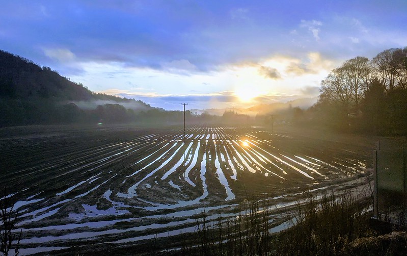 Misty sunrise highlighting the patterns of waterlogged furrows in a cultivated field.