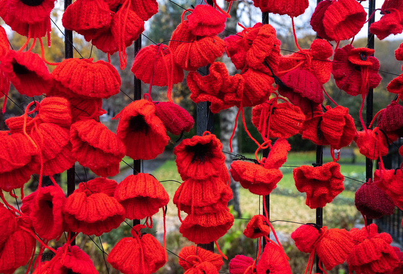Numerous bright red knitted poppies hanging on a black metal fence outdoors in a park setting.